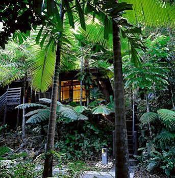 Cape Tribulation Resort & Spa Екстер'єр фото